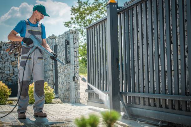 Best Rust Removal  in Nevada, MO